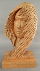 Back to the Wind by Dennis Taylor