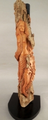 Mermaid by Ilana Miller