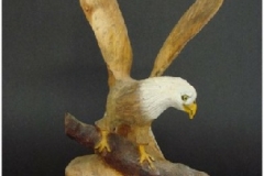 Eagle by Jim Nunn