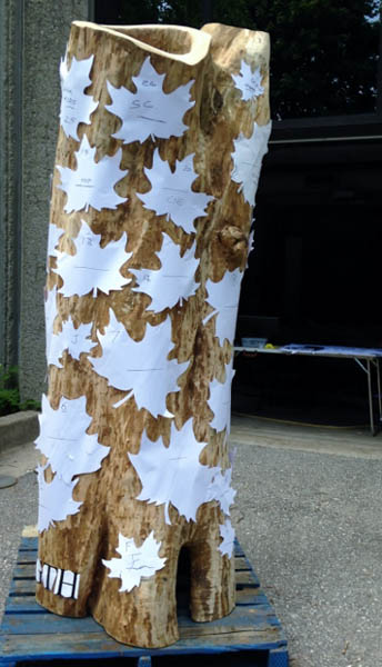 2014-07-10 15.38.03 (367x640)