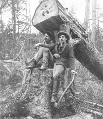 lumber 2
