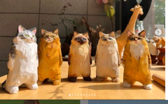 #3 Cats