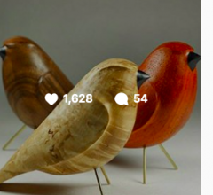 #2 Birds